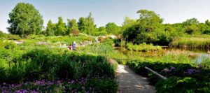 No.10 The Abbey - A Day Out At Pensthorpe Gardens