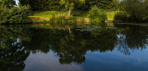 Lakes In Norfolk